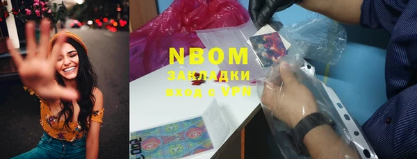 шишки Белоозёрский