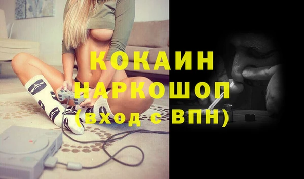 шишки Белоозёрский