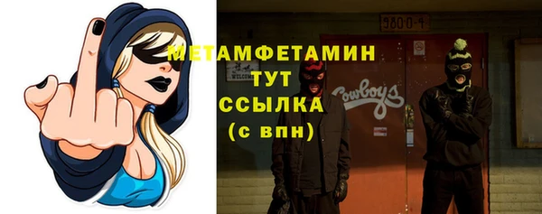шишки Белоозёрский