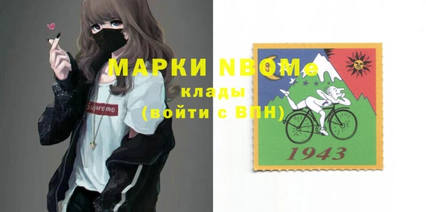шишки Белоозёрский
