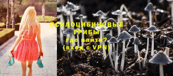 каннабис Беломорск