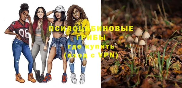 мяу мяу мука Белокуриха
