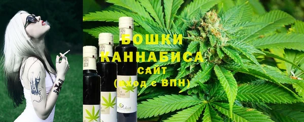 шишки Белоозёрский
