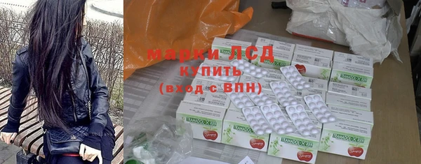 шишки Белоозёрский