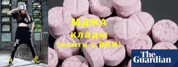 шишки Белоозёрский