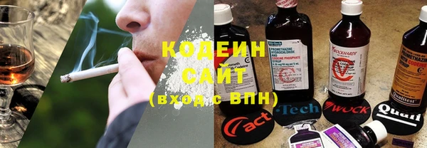 шишки Белоозёрский