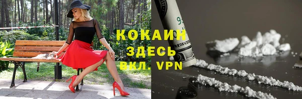 шишки Белоозёрский