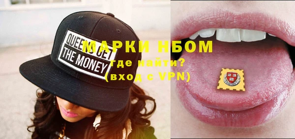 шишки Белоозёрский