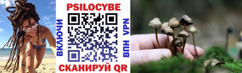 купить закладку  Томари  Псилоцибиновые грибы Cubensis 